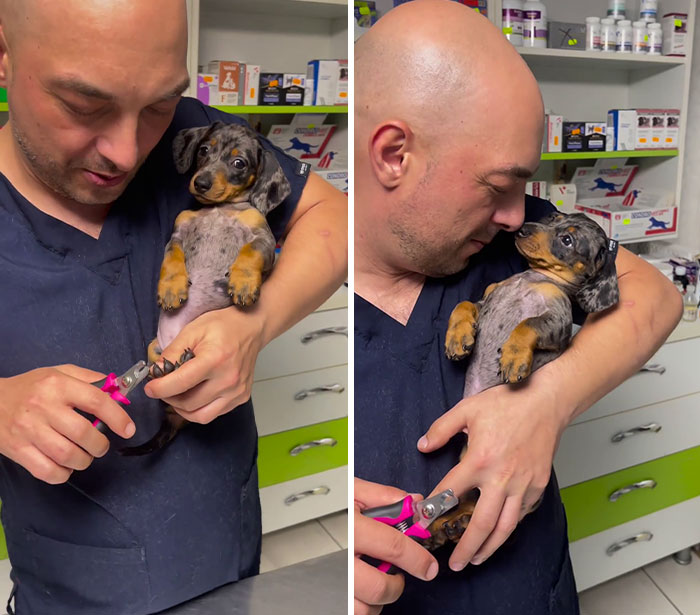 My First Vet Visit Was Weird. This Guy Kept Interrupting My Complaining