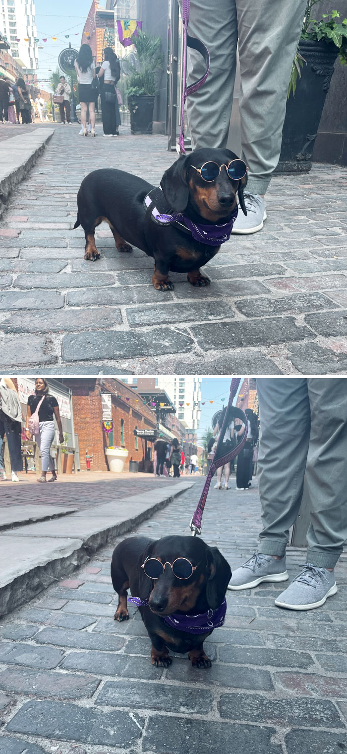 I Had Been Keeping These Pictures All To Myself, Sorry