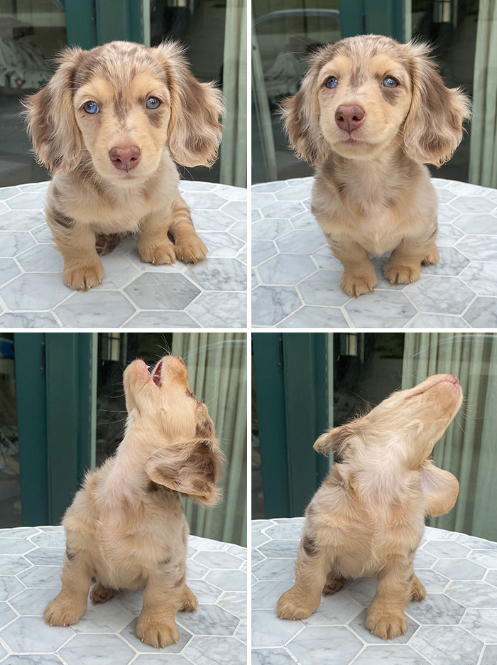 Back When I Tried To Catch A Fly