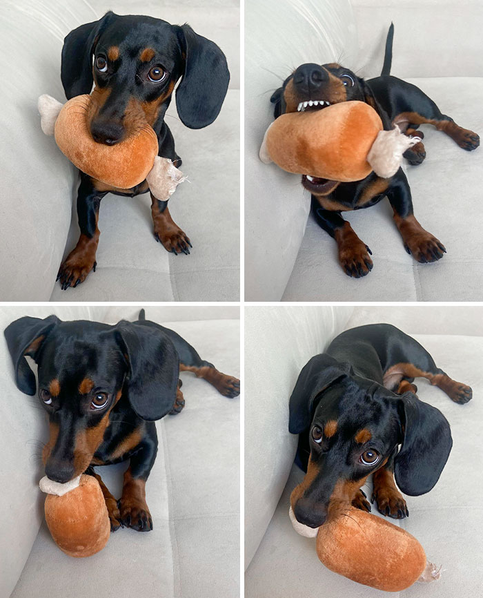 Sunday Is The Day To Eat Roast Chicken