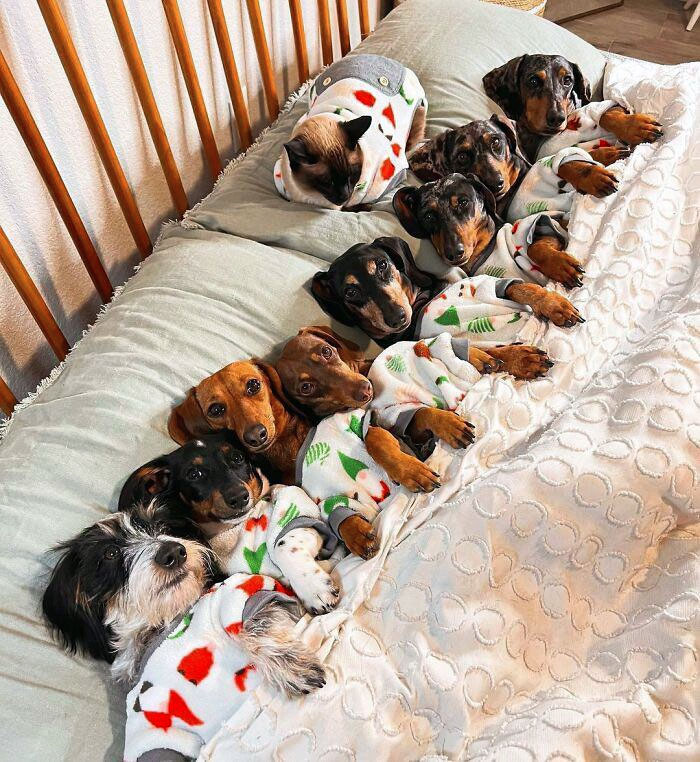 Sleepover At The Weens Residence. Who Is Coming?