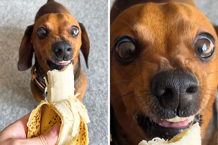 When I Go To Post About Being A Silly Little Sausage Banana-Loving Boy Who’s Reached 75k Followers And 7 People Unfollow Me