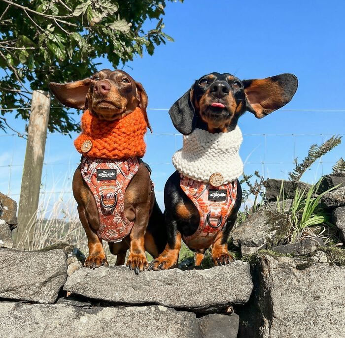 We Would Tell You Our Autumn Joke, But You Probably Wouldn’t Fall For It