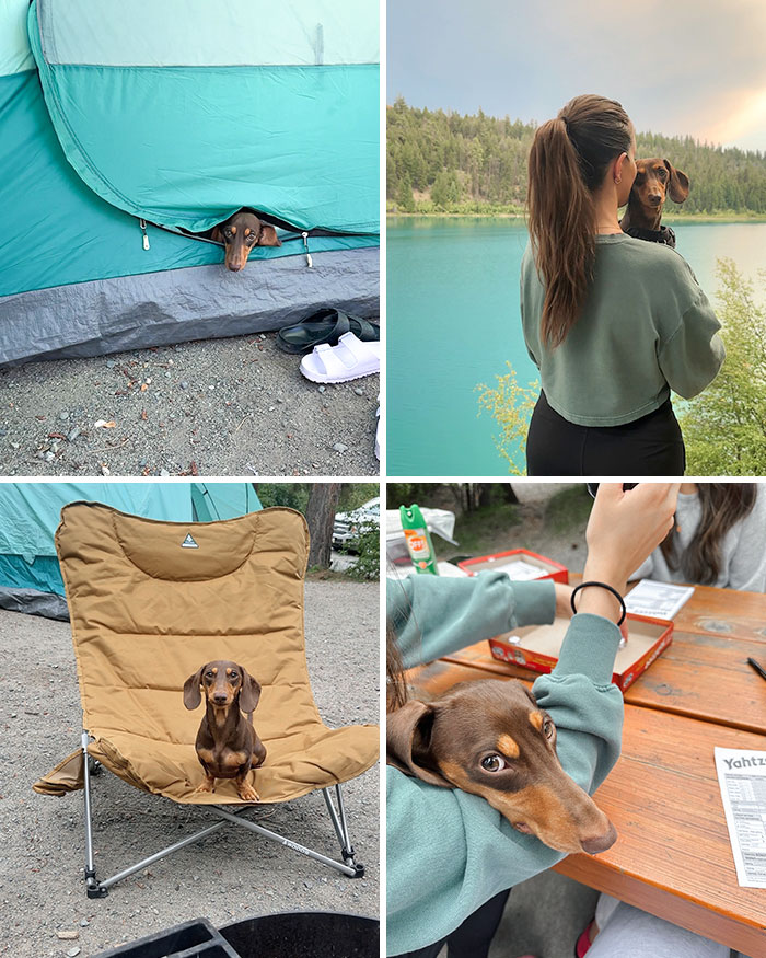 "On My First Camping Trip, I Fought Off The Bears Don’t Worry"