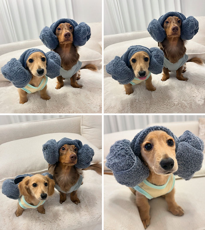 I Was Taking A Picture Saying "Don't Drop The Towel"