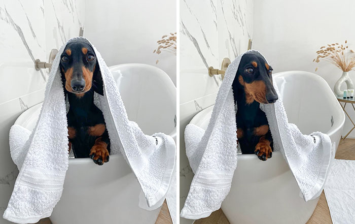 Looking So Squeaky Clean