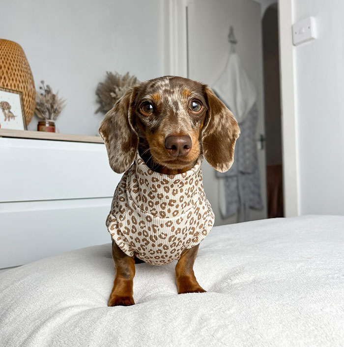 Who Else Is Ready For Autumn?