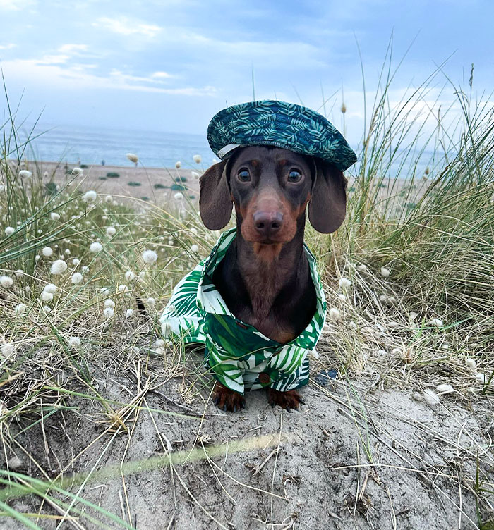 What Did The Beach Say To The Tide When It Came In?