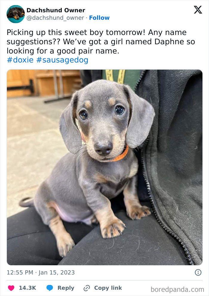 Your Little Guy Is Adorable