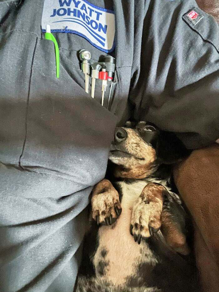 Ask Me About My Wiener