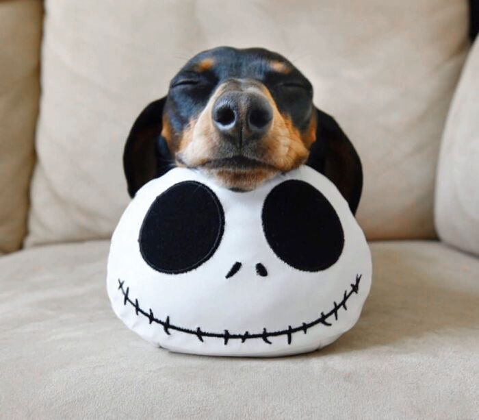 So Sweet... And Scary