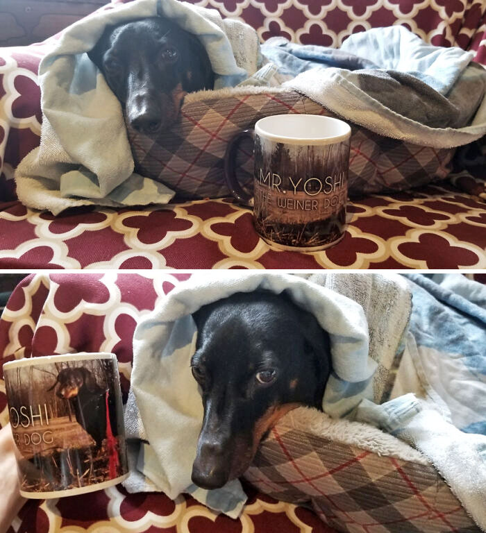I Ruined The Spelling Of "Wiener" On A Color-Changing Mug I Made Of My Mom's Dog