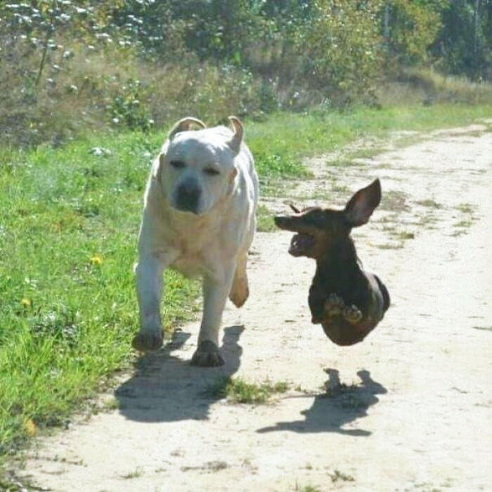 That's One Athletic Sausage