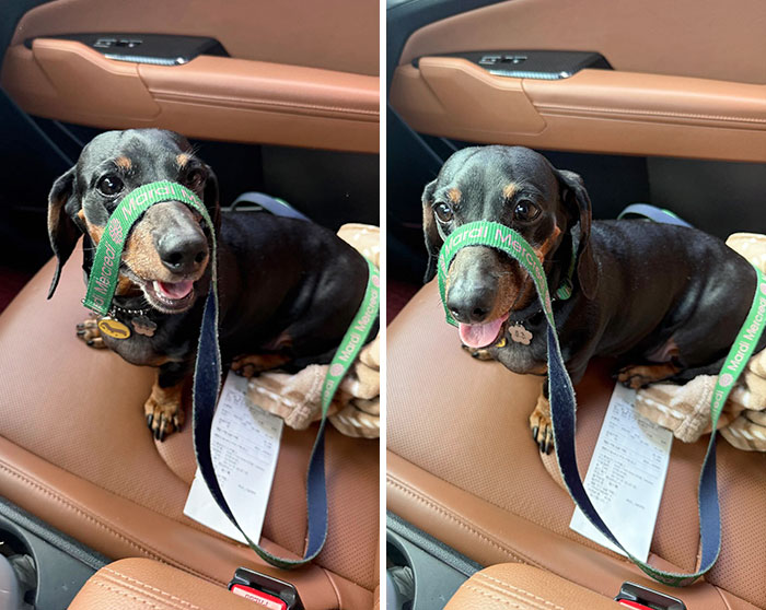 Driving After A Long Time