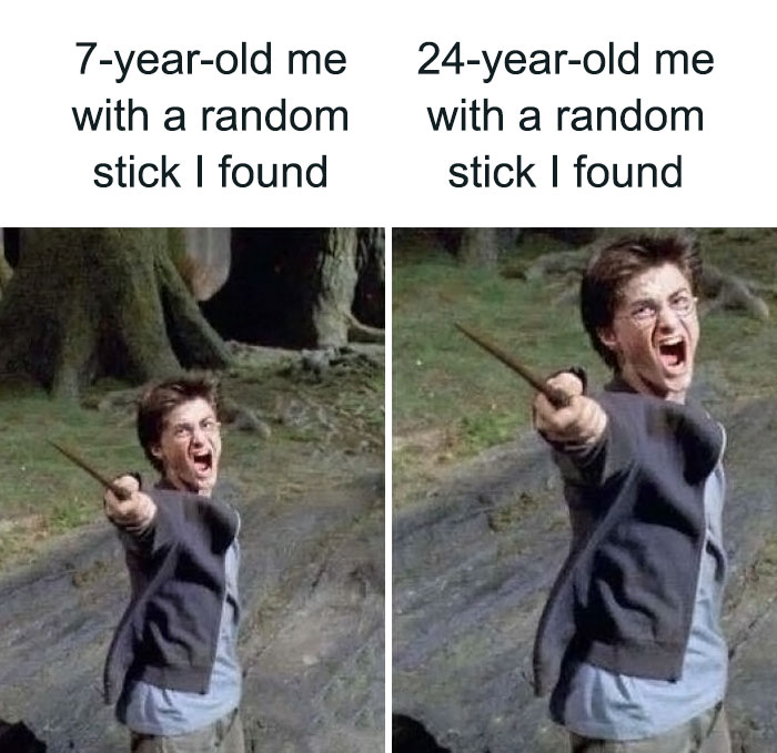 Harry Potter meme comparing childhood and adulthood joy of finding a stick.
