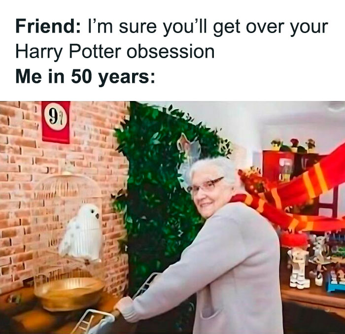 Elderly woman in a Gryffindor scarf with a Harry Potter setup, showcasing ongoing Harry Potter obsession humor.