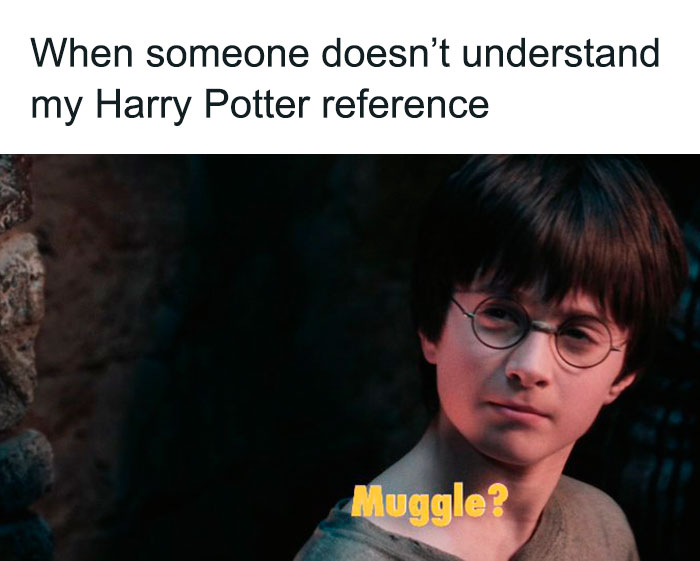 Harry Potter meme with the text, "When someone doesn’t understand my Harry Potter reference" and "Muggle?"