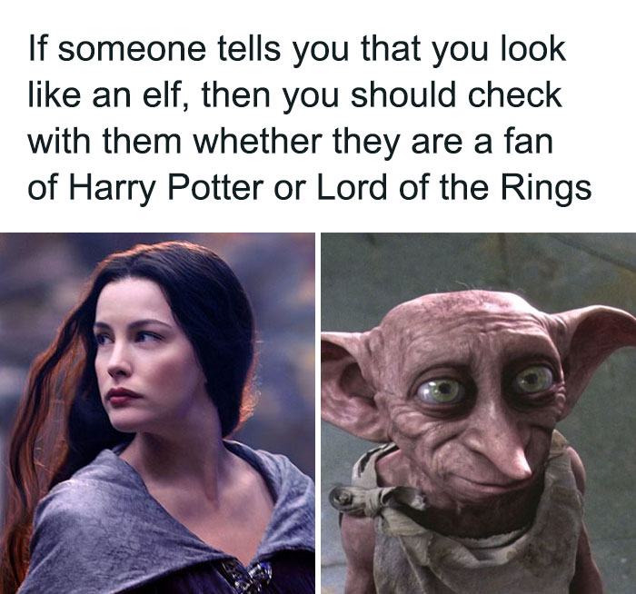 Harry Potter meme comparing an elf to a house-elf character with humorous text.