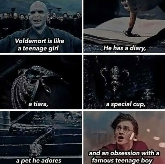 Funny Harry Potter meme comparing Voldemort to a teenage girl with a diary, tiara, special cup, and beloved pet.