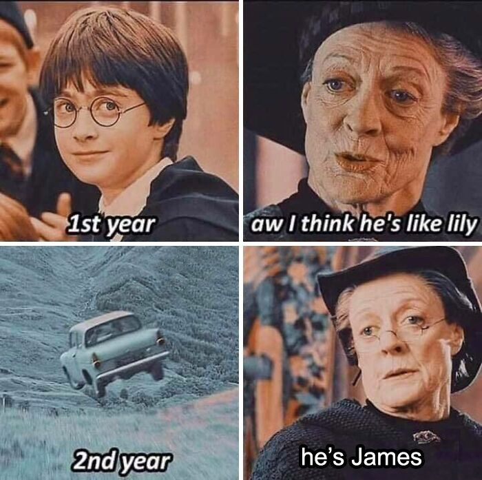 Harry Potter meme with a timeline joke about first and second year at Hogwarts.