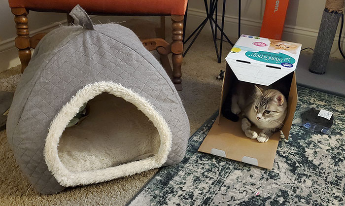 No pasa nada, solo ha costado 40$