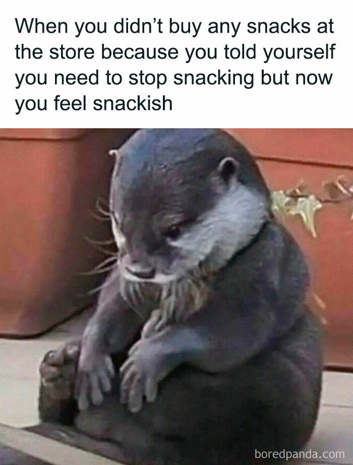 Funny-Relatable-Girl-Posts