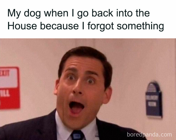 Funny-The-Office-Memes