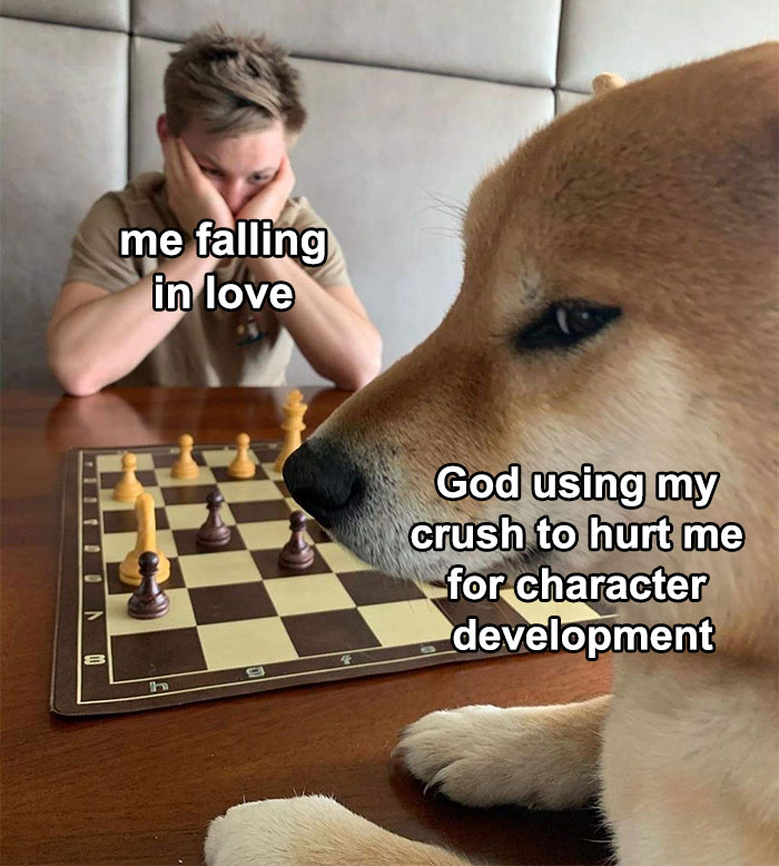 Funny-Zesty-Supreme-Memes