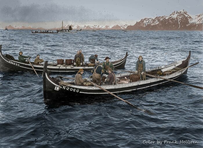 Traditional Cod Fishing In Lofoten ( Nordland, Norway) In 1928