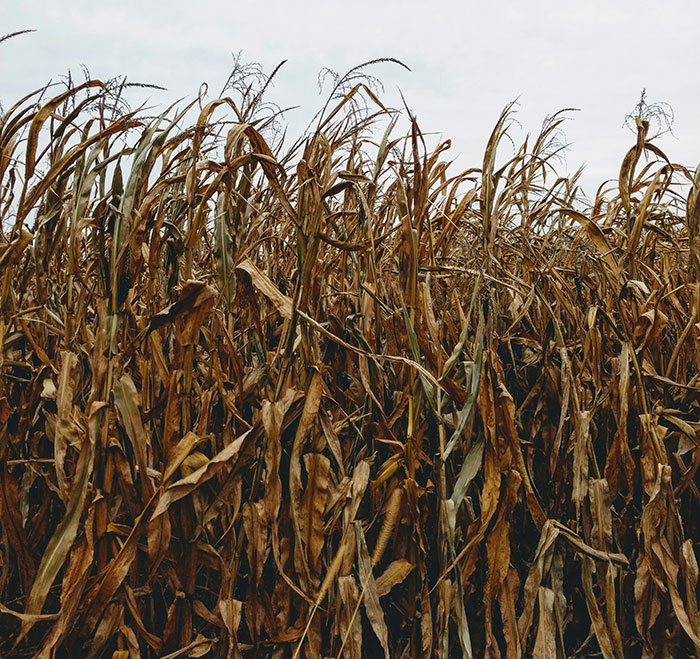 30 Times Scare Actors Couldn’t Continue Acting And Had To Break Character