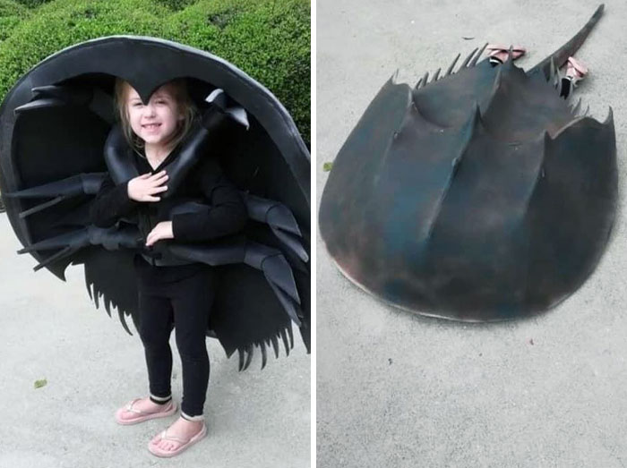 Child wearing a creative Halloween costume inspired by a horseshoe crab, one of the unique kids' Halloween costume ideas.