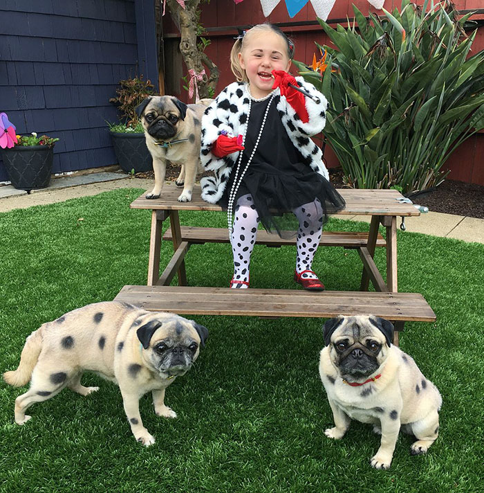 Child in Halloween costume sitting on picnic table with three spotted pugs, showcasing creative kids' Halloween costume ideas.