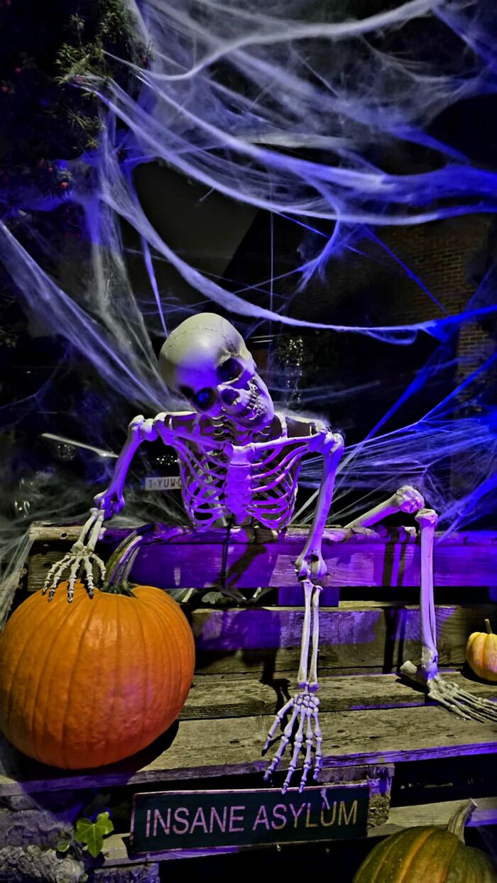 But I'm Such A Halloween Freak That I Always Decorate My House. I'm The Only One In The Street