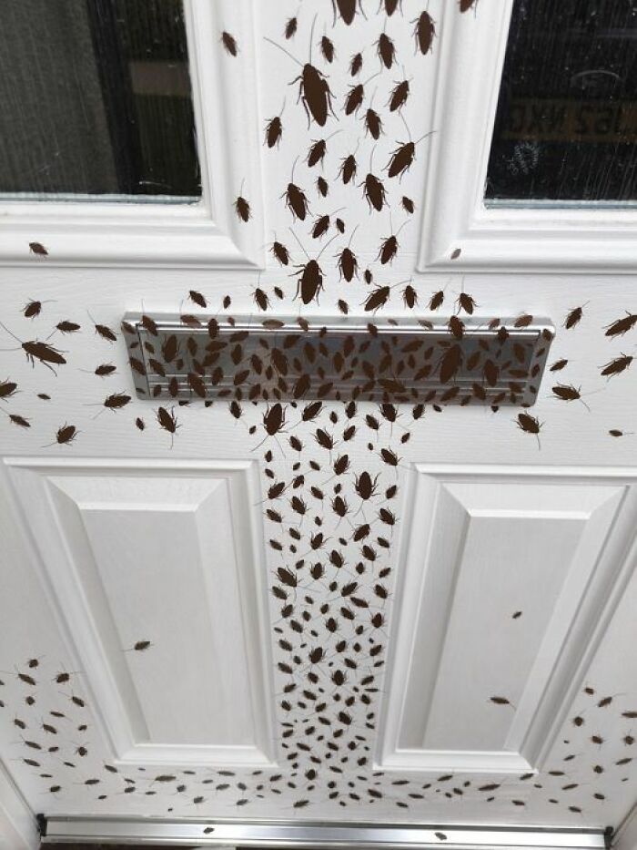 Halloween-Decorations-And-DIY-Pics