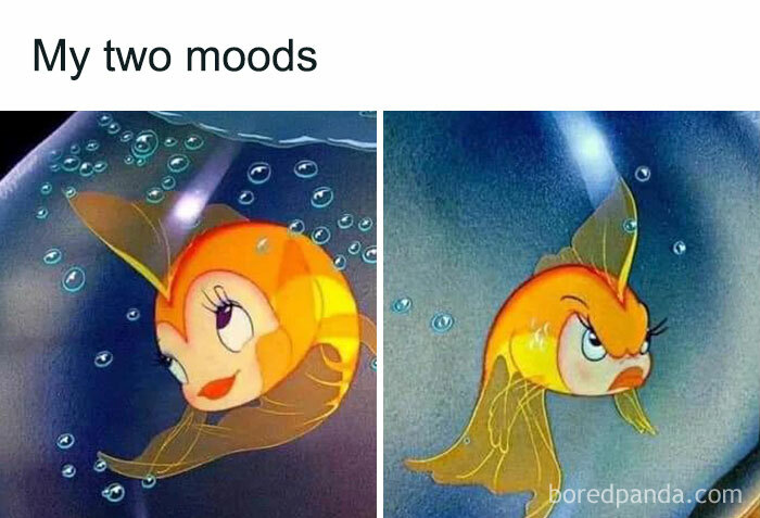 Hilarious-Disney-Memes-Jokes