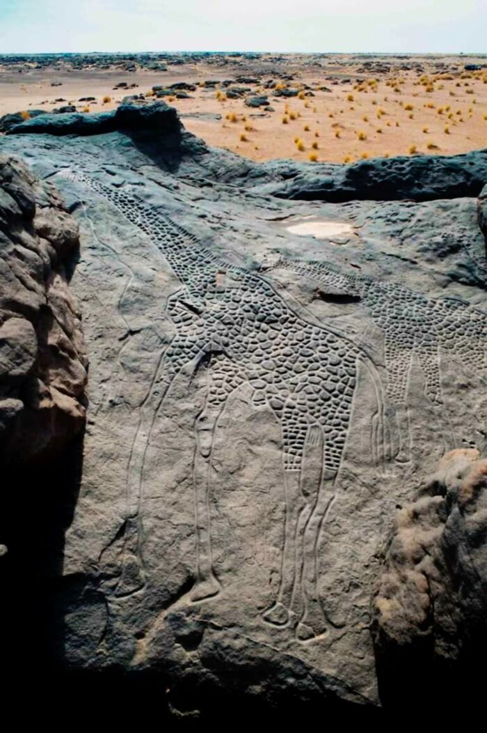 Hace más de 9.000 años, cuando el Sáhara era una próspera sabana, los antiguos artistas esculpieron una sorprendente escena en las rocas de lo que hoy es el desierto de Níger.