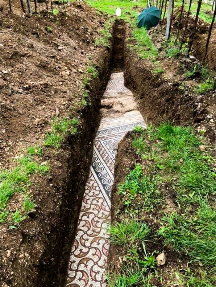 In 2020, A Remarkable Roman Mosaic Was Discovered Beneath A Vineyard In Negrar Di Valpolicella, Near Verona, Italy