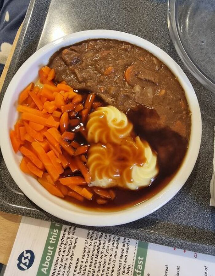 Hospital food example featuring mashed potatoes with gravy, carrots, and a meat stew on a white plate.