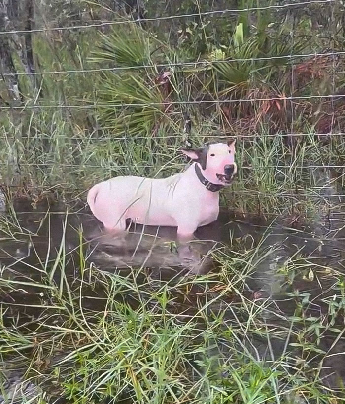 Experts Reveal What You Should And Shouldn&rsquo;t Do In A Hurricane After A Lot Of Bad Ideas Go Viral