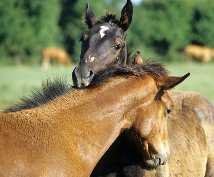 Experts Reveal What You Should And Shouldn&rsquo;t Do In A Hurricane After A Lot Of Bad Ideas Go Viral