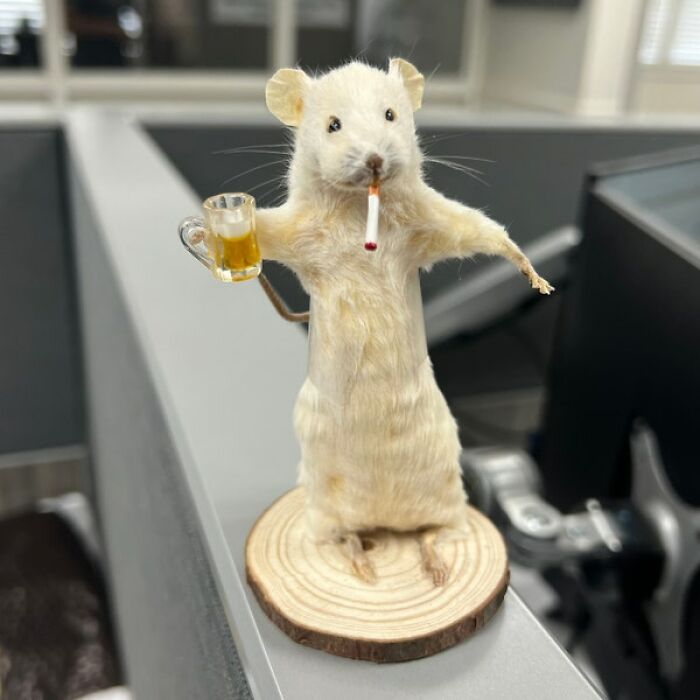 Channel Your Inner Eccentric Victorian With This Disturbingly Anthropomorphic Taxidermied Mouse That's Living Its Best Afterlife, Complete With Vices And Questionable Hobbies
