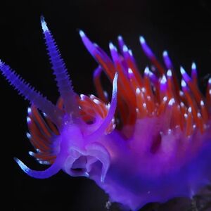 andrewrwohlfert avatar