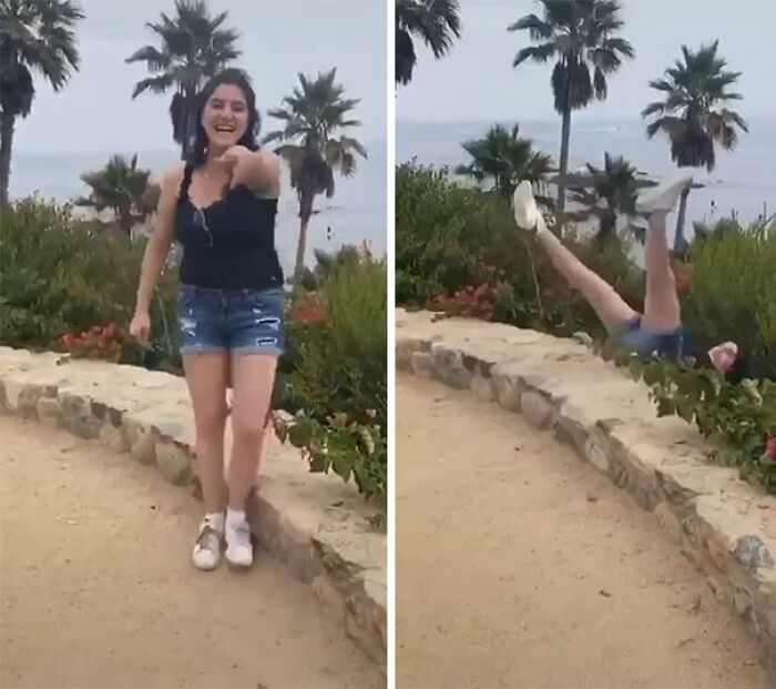 This Looks Like It Belongs On Failsalad