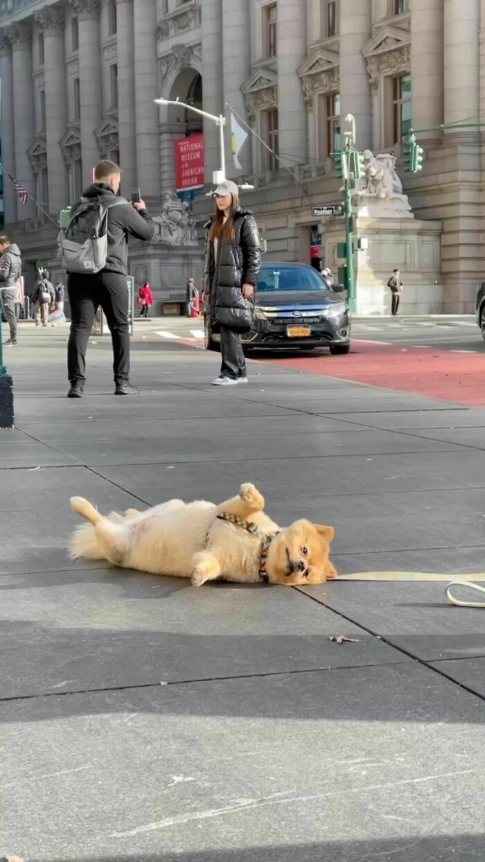 No sé qué está pasando pero me encanta