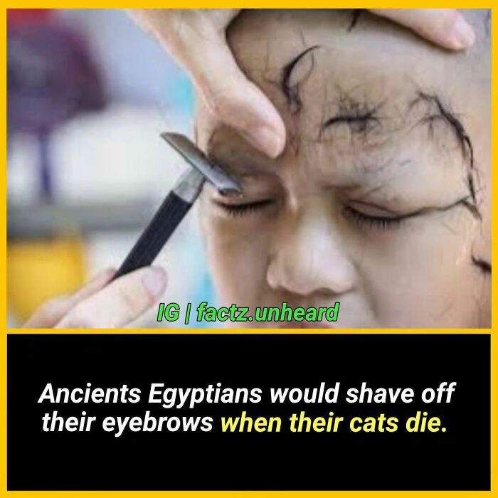 Interesting-Facts-Factzunheard