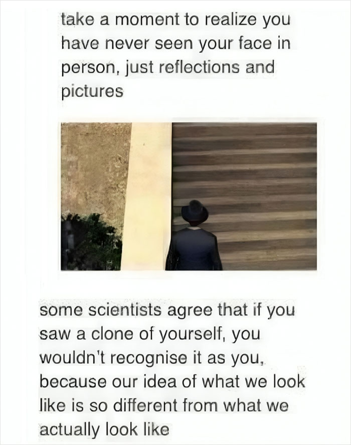 Creepy post about never seeing your own face in person and how clones might not be recognized as you by scientists.