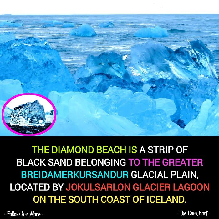 Interesting-Unique-Facts