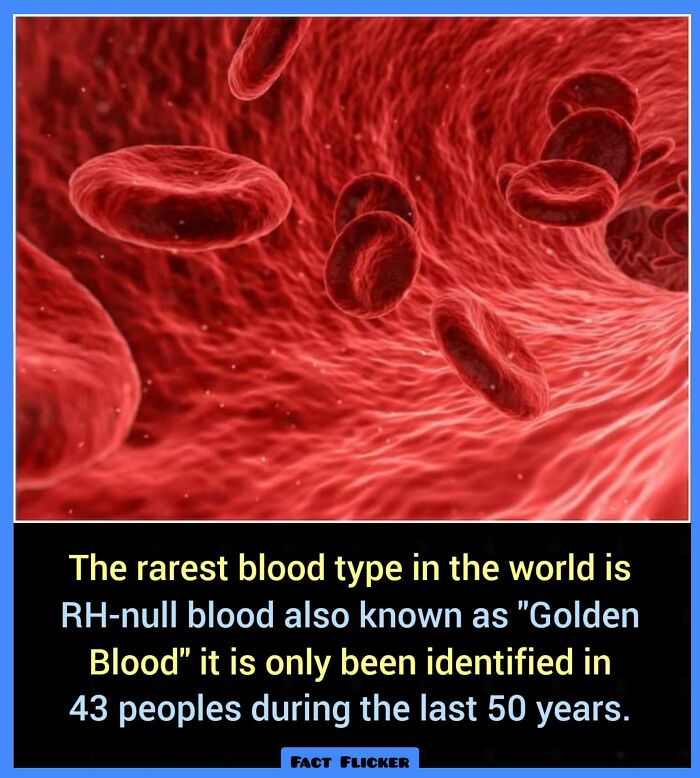 Interesting-Unique-Facts