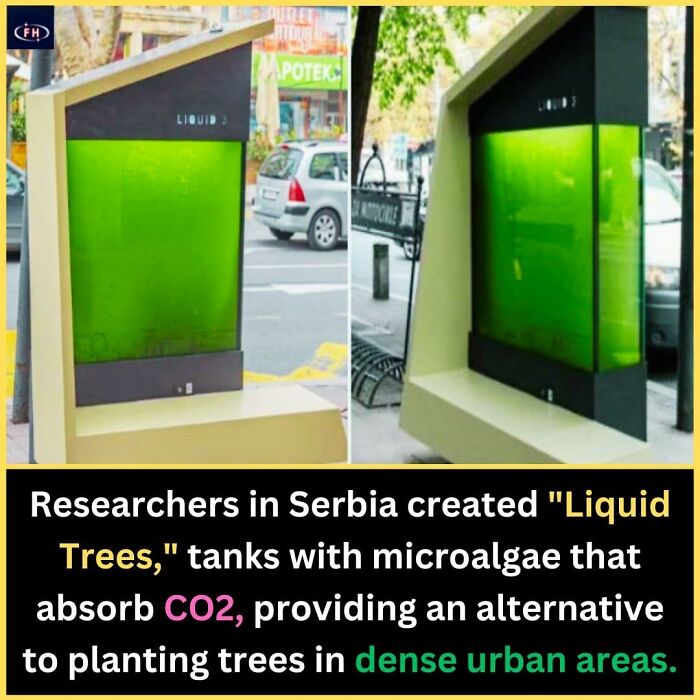 Interesting-Unique-Facts