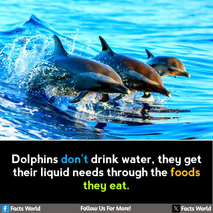 Interesting-Unique-Facts